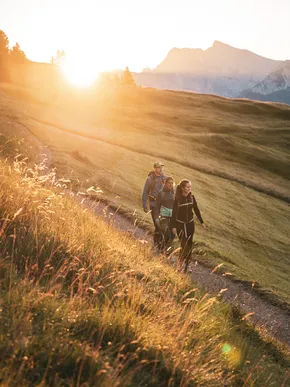 Goma Wandern by Alex Moling 5